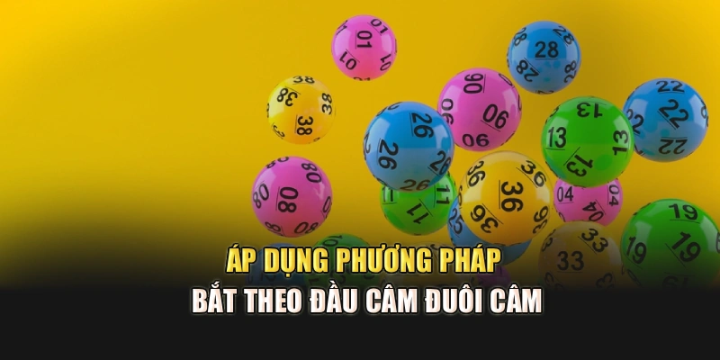 Áp dụng phương pháp bắt theo đầu câm đuôi câm
