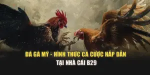 Đá gà Mỹ - Hình Thức Cá Cược Hấp Dẫn Tại Nhà Cái B29