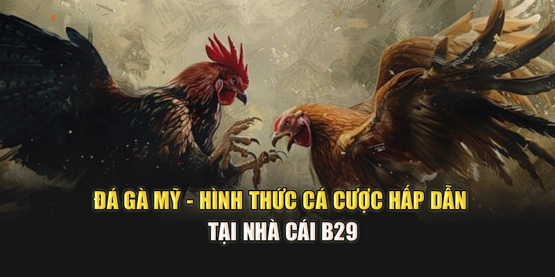 Đá gà Mỹ - Hình Thức Cá Cược Hấp Dẫn Tại Nhà Cái B29